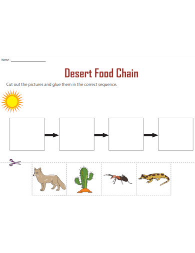 desert food chain