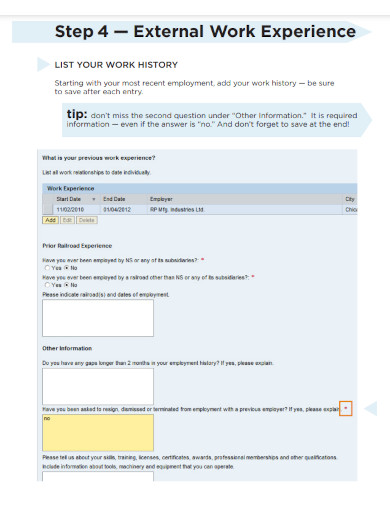 Work Experience - Examples, PDF | Examples
