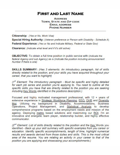 federal perfect resume template 