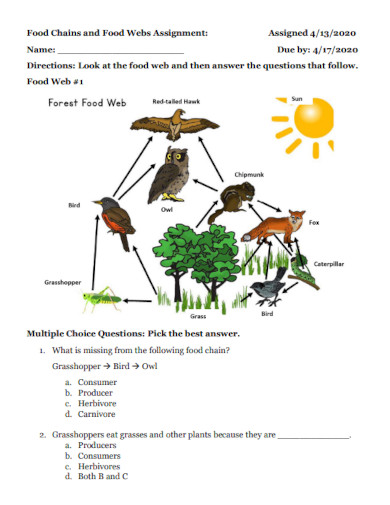 food chain assignment