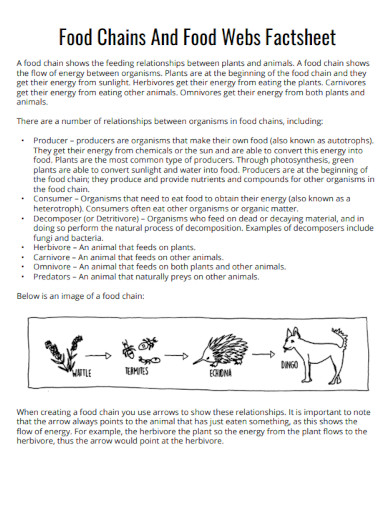 food chain factsheet sample