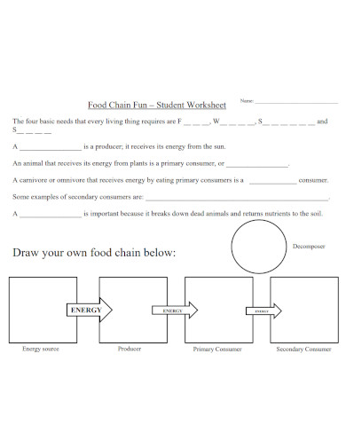 food chain student worksheet