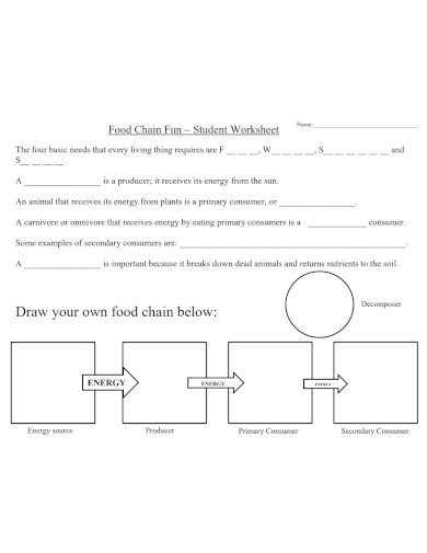 food chain assignment pdf