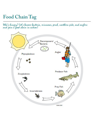 food chain tag