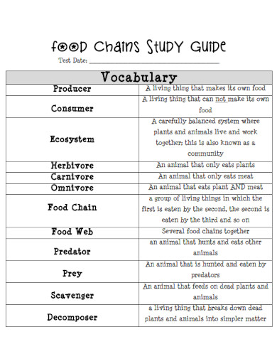 food chain vocabulary