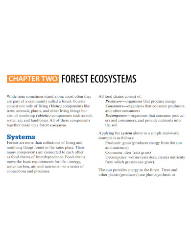 forest ecosystem example