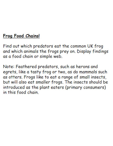 frog food chain