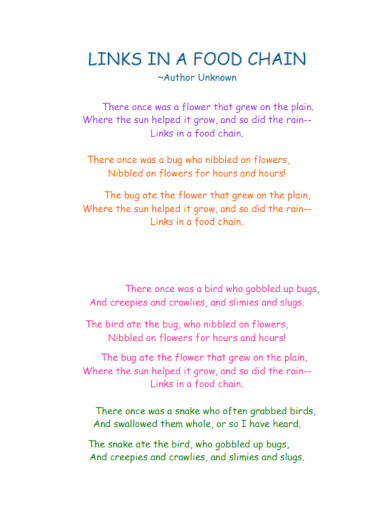links in food chain