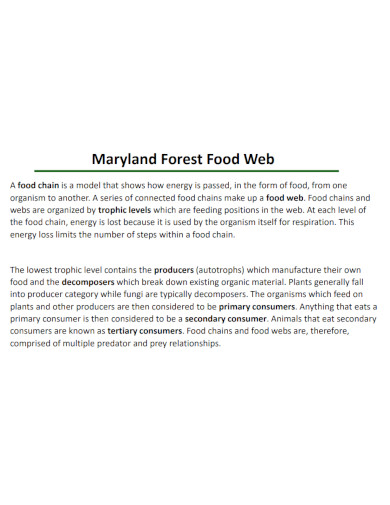 maryland forest food web