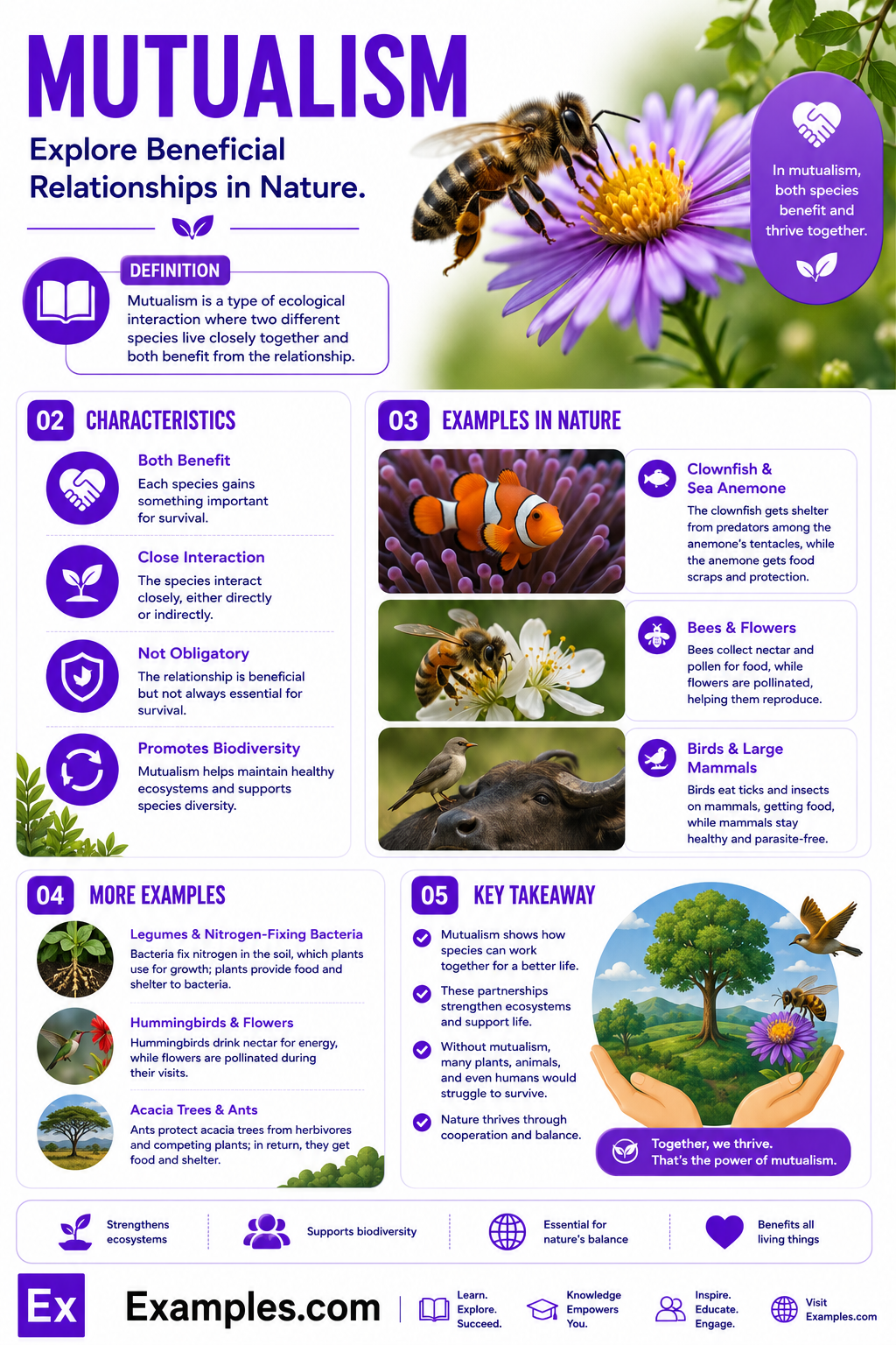 20+ Mutualism Examples