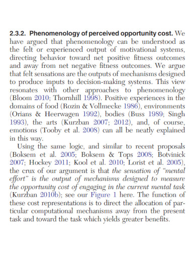 phenomenology of perceived opportunity cost