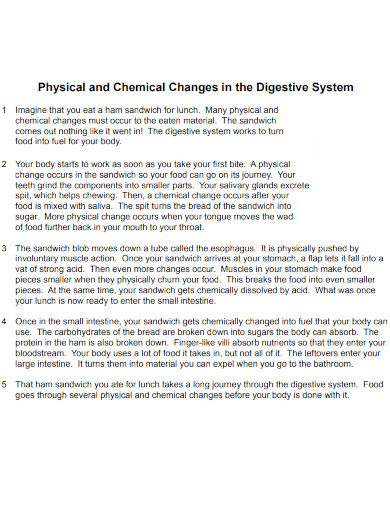 physical change in the digestive system