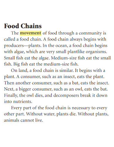 sample food chain example