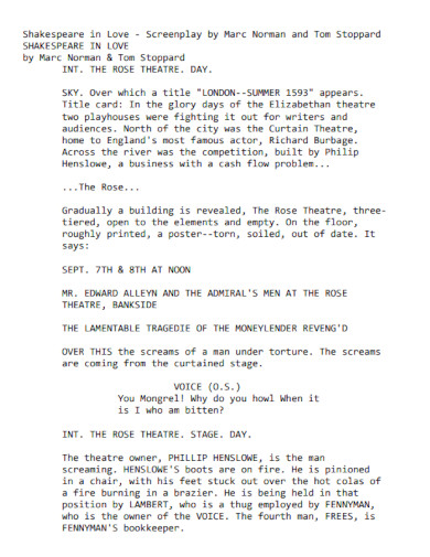 35+ Screenplay Examples - PDF | Examples
