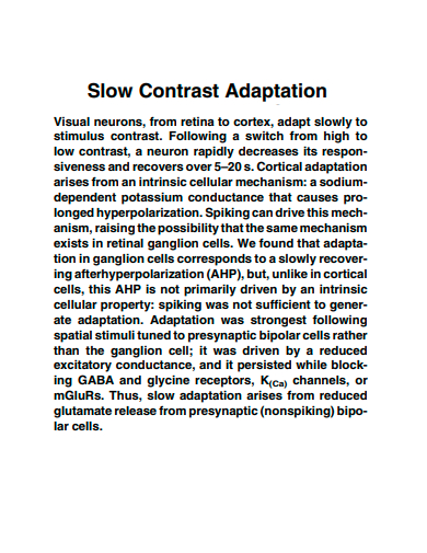 slow contrast adaptation