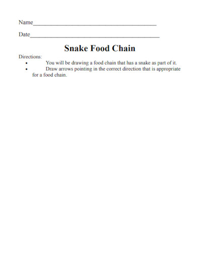 snake food chain
