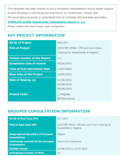 stakeholder consultation report