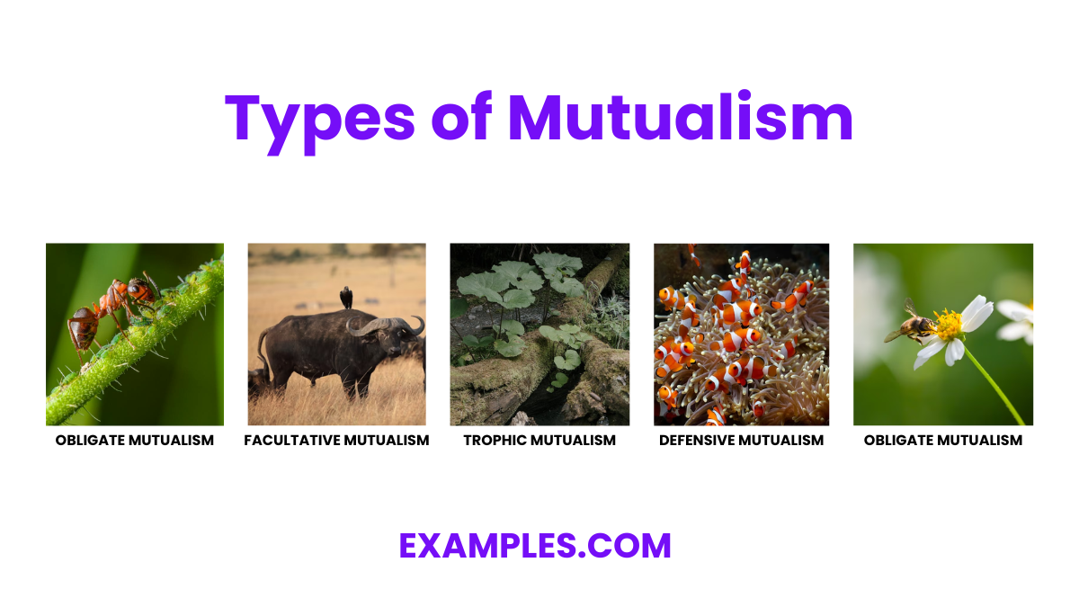 types of mutualism