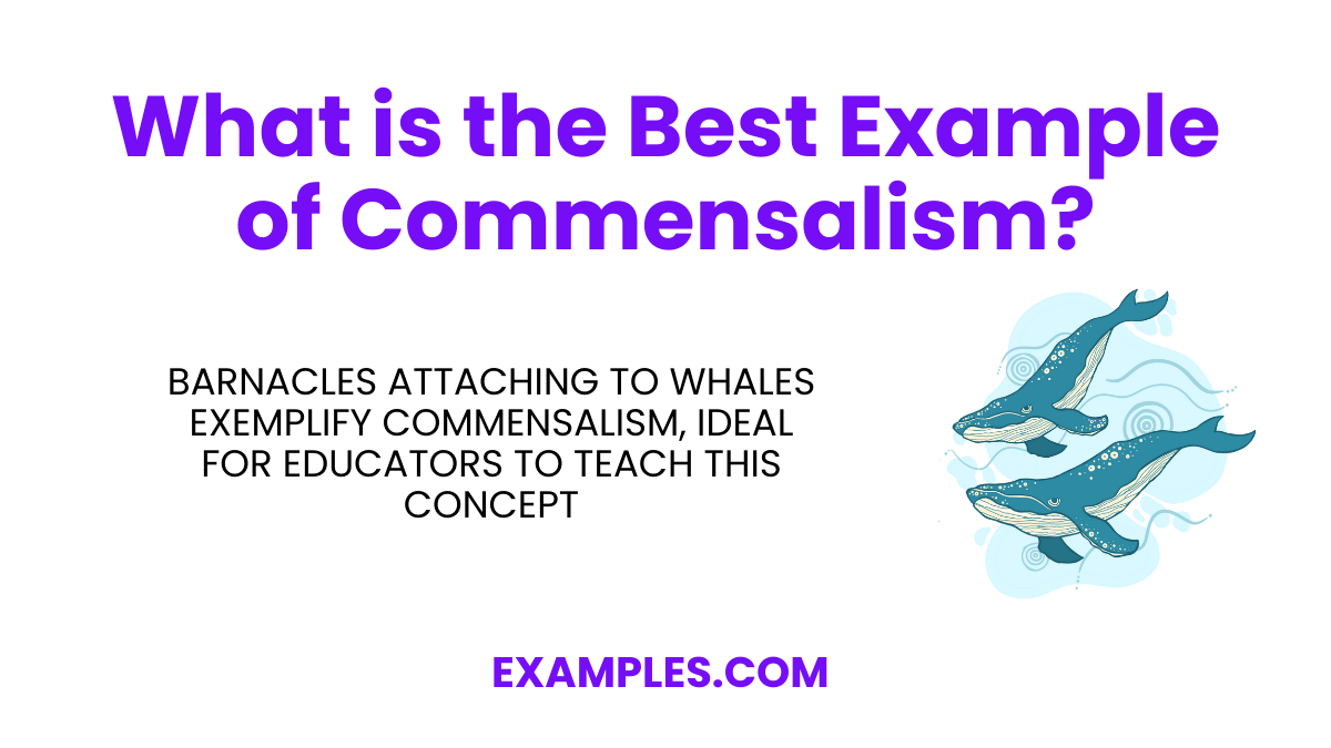 what is the best example of commensalism