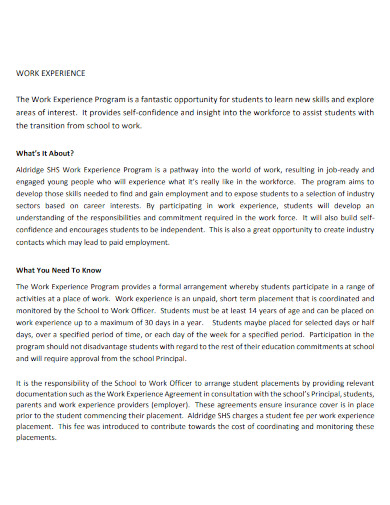 Work Experience - Examples, PDF | Examples