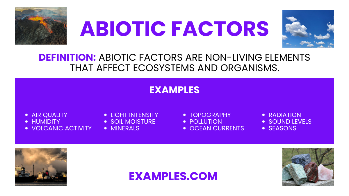 Abiotic Factors
