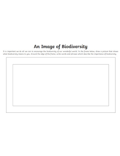 an image of biodiversity 
