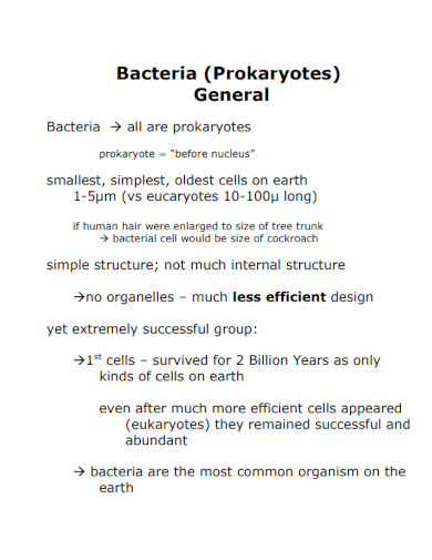 bacteria general