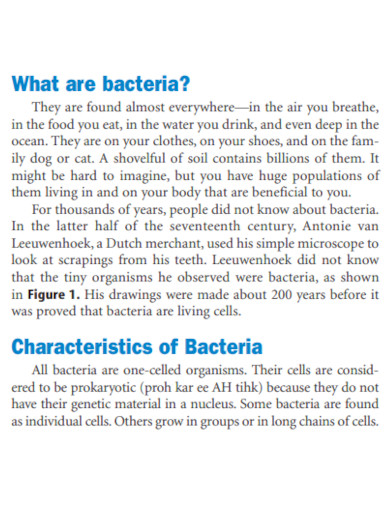 bacteria sample