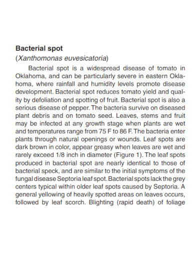 bacterial spot