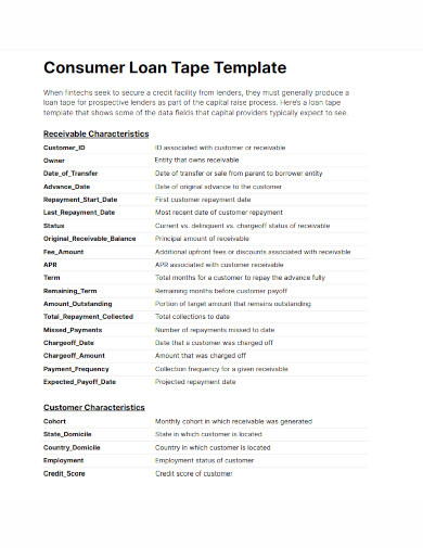consumer loan tape template 