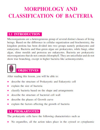 morphology and bacteria