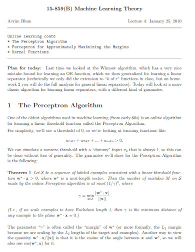 perceptron algorithm