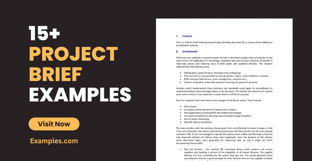 Project Brief Examples