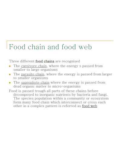trophic levels and food chain