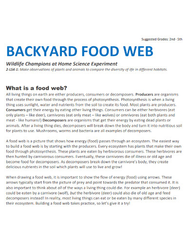 backyard food web