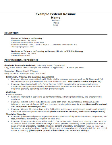example federal resume name