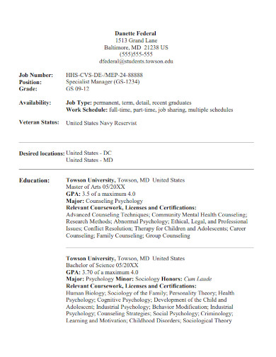 federal resume sample 