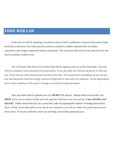 food web lab