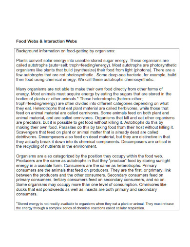 food webs interaction webs