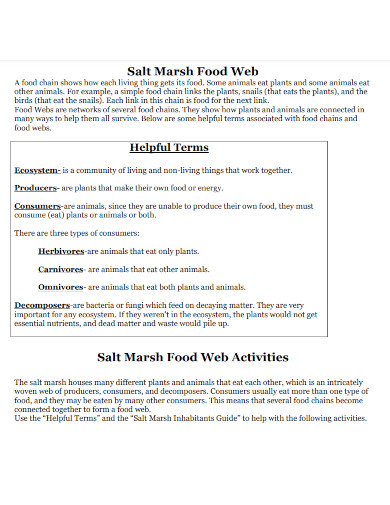 salt marsh food web 