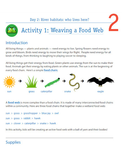 weaving food web