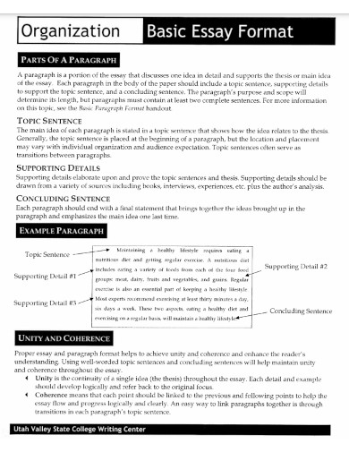 Conclusion Paragraph Examples Pdf Examples 6631