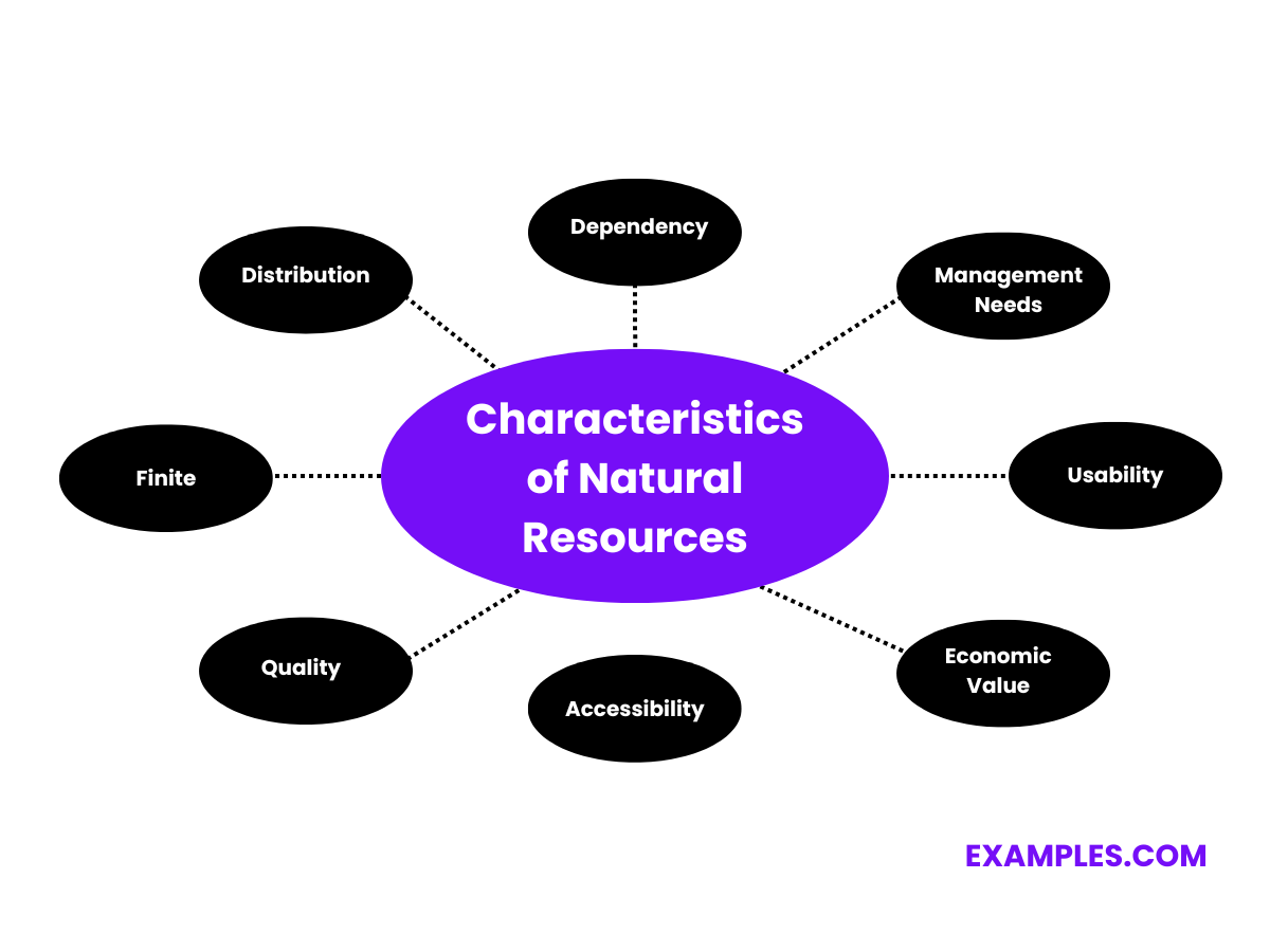 characteristics of natural resources