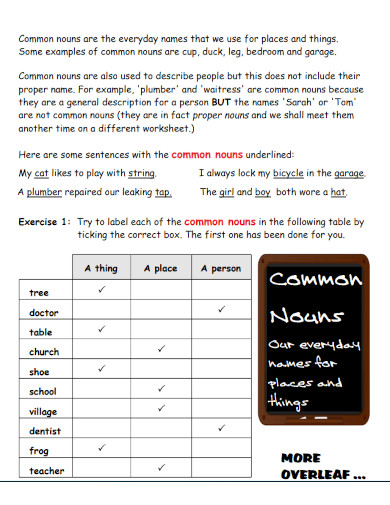 common nouns answer sheet 