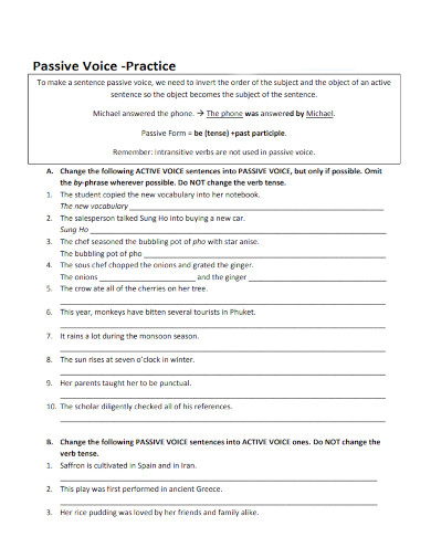 Passive Voice Practice 