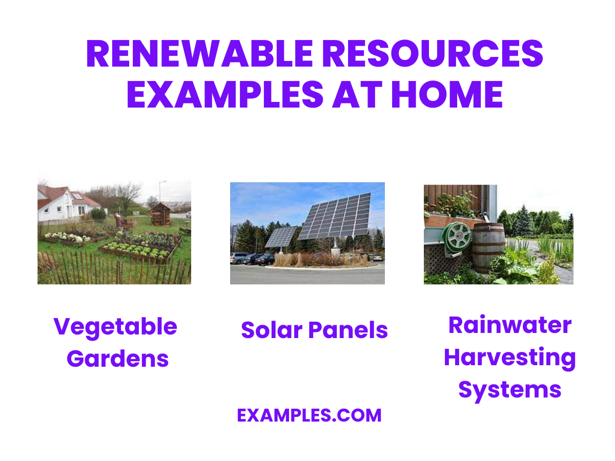 renewable resources examples at home