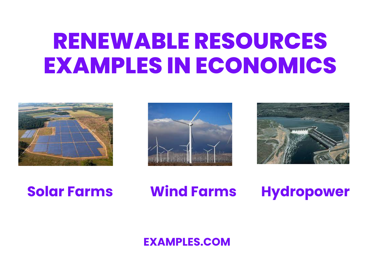 renewable resources examples in economics