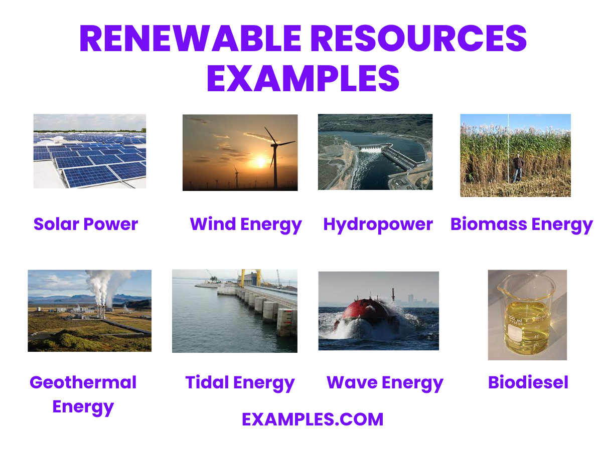renewable resources examples
