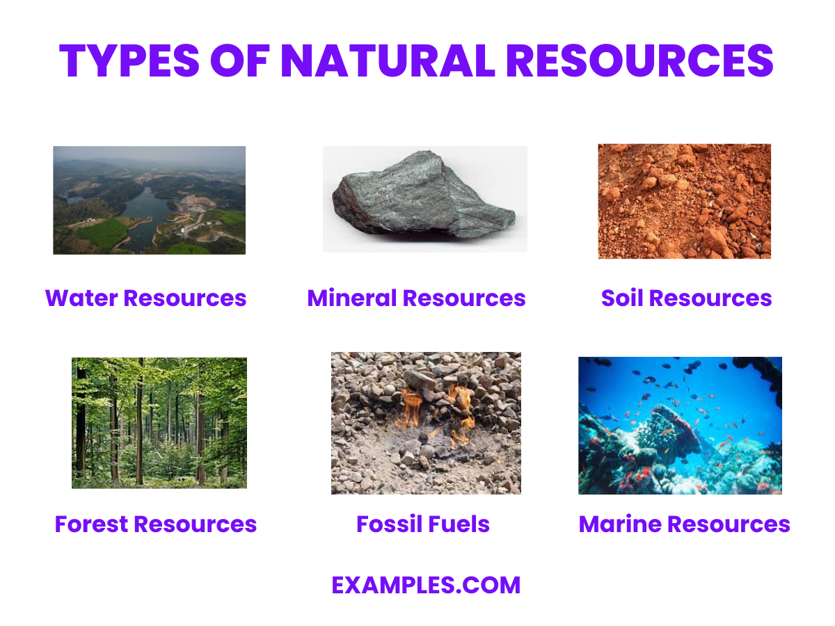 types of natural resources