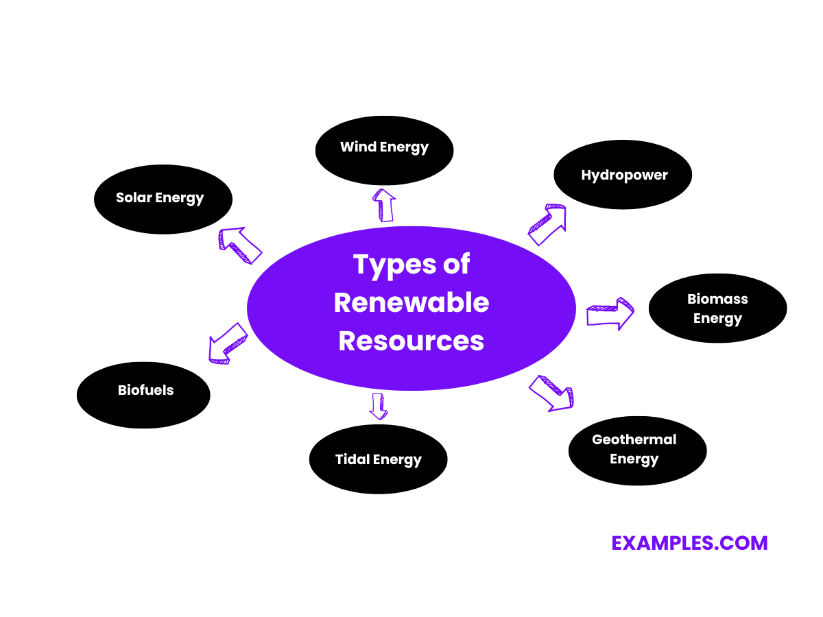 types of renewable resources